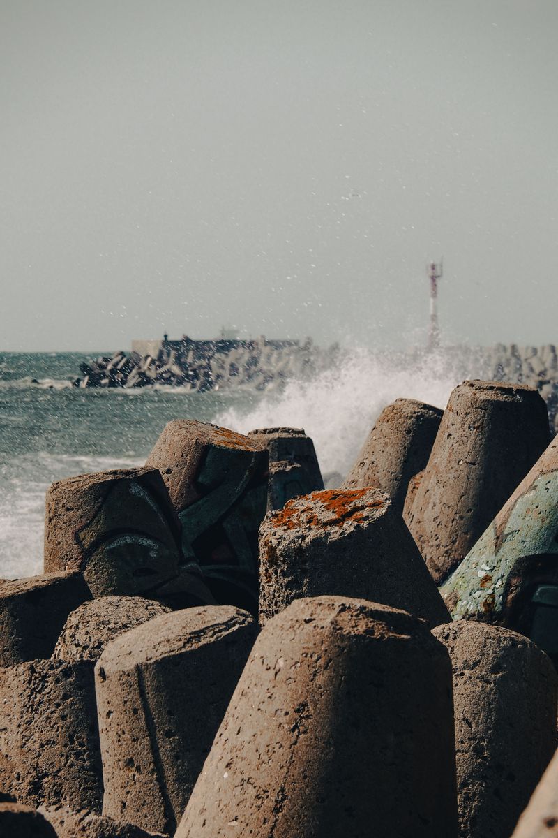 Keep Dogs Away From Rough Water