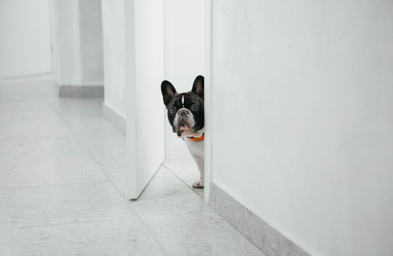 Hide-And-Seek With A Willing Partner