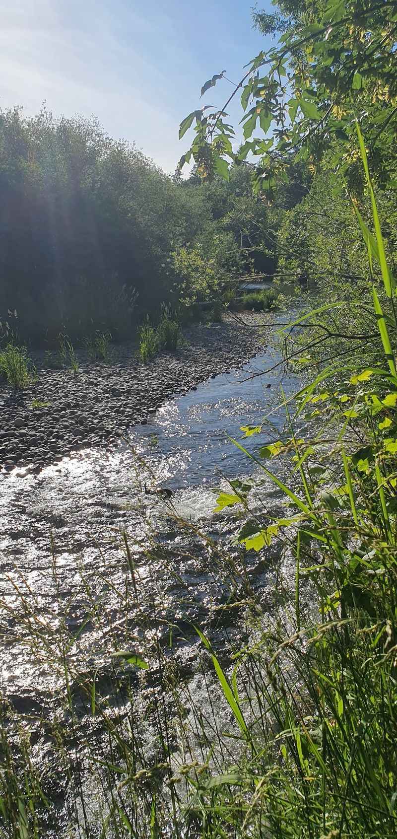 Chehalis-Western Trail