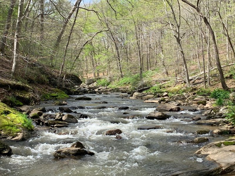 Big Gunpowder Falls River Trail