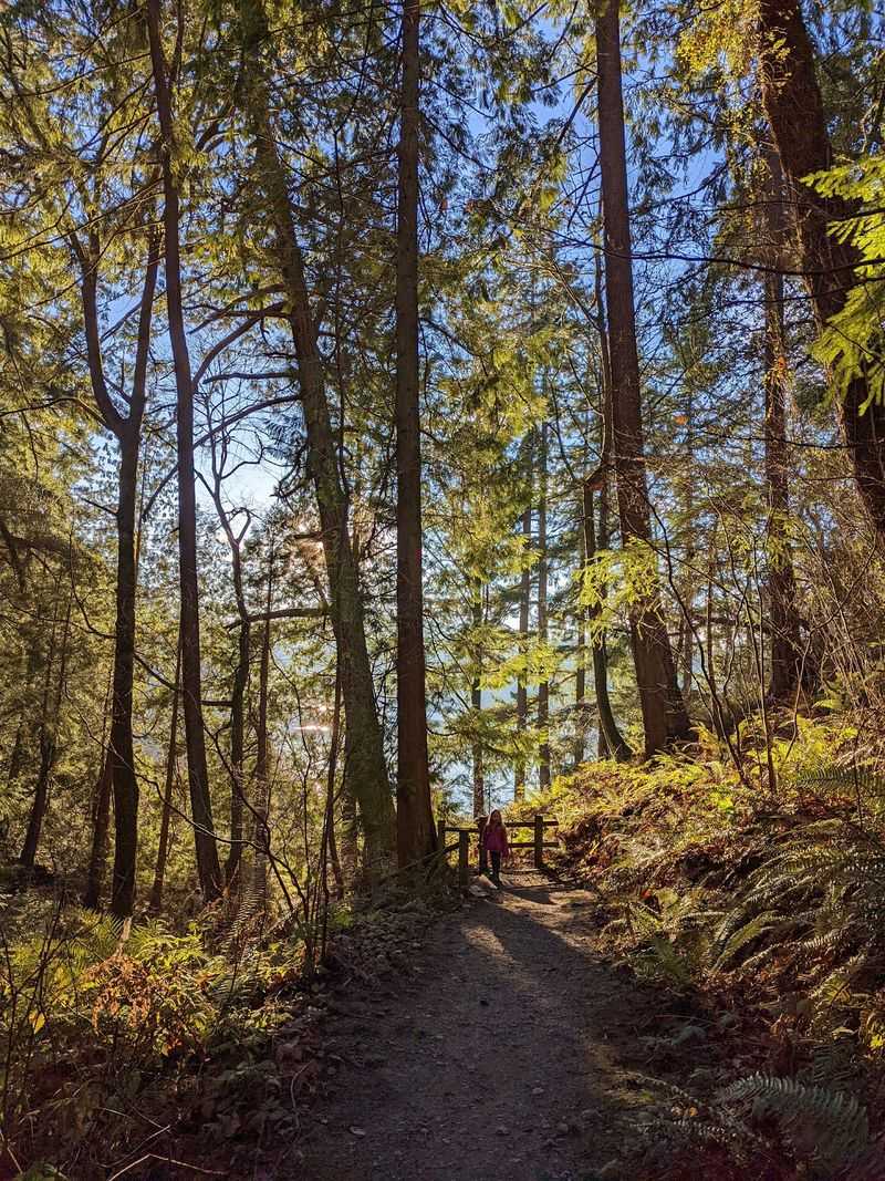 Seward Park, Seattle