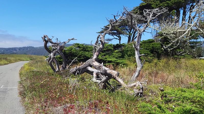 Half Moon Bay Coastside Trail, Half Moon Bay