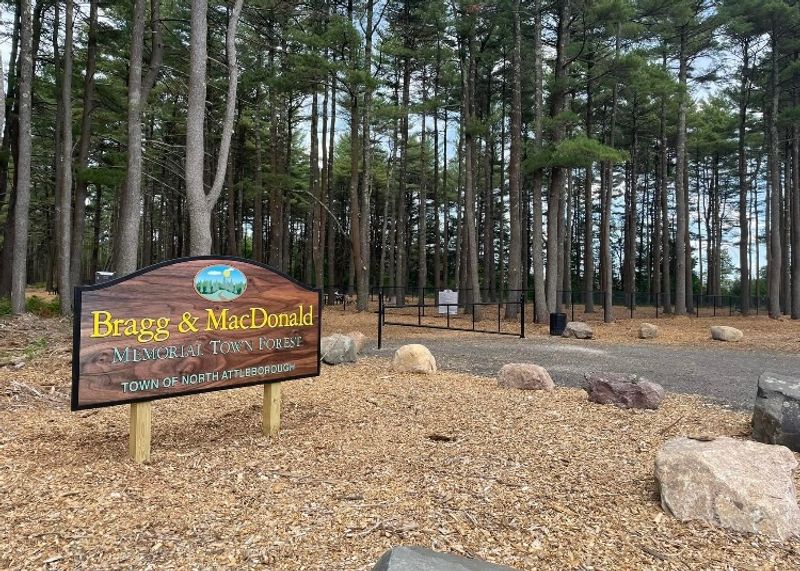 North Attleboro Town Forest, North Attleborough