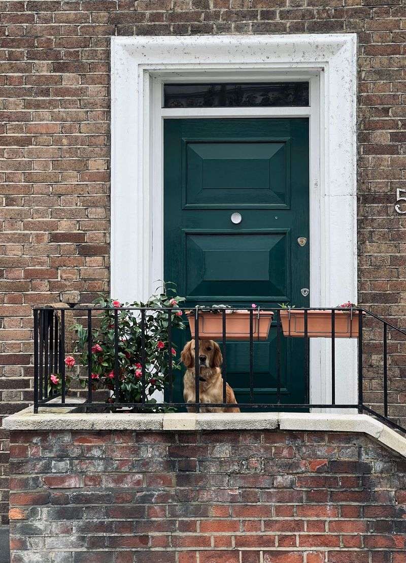 Front-Door Escape Barrier