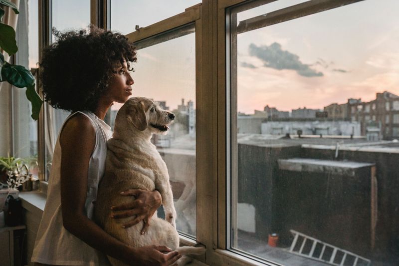 Budget For Pet Fees And Pet Rent