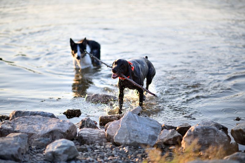 Coming Back From The Water