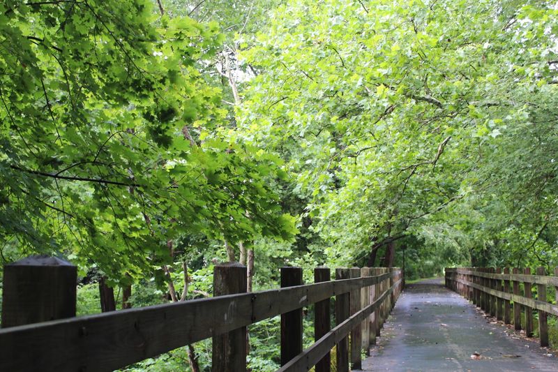 Hoodlebug Trail