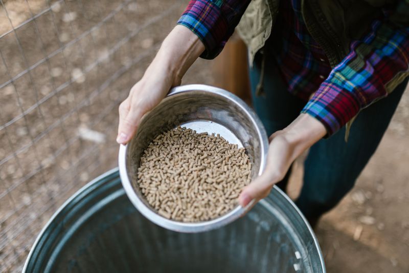 Stop Leaving Feed Bags Within Reach