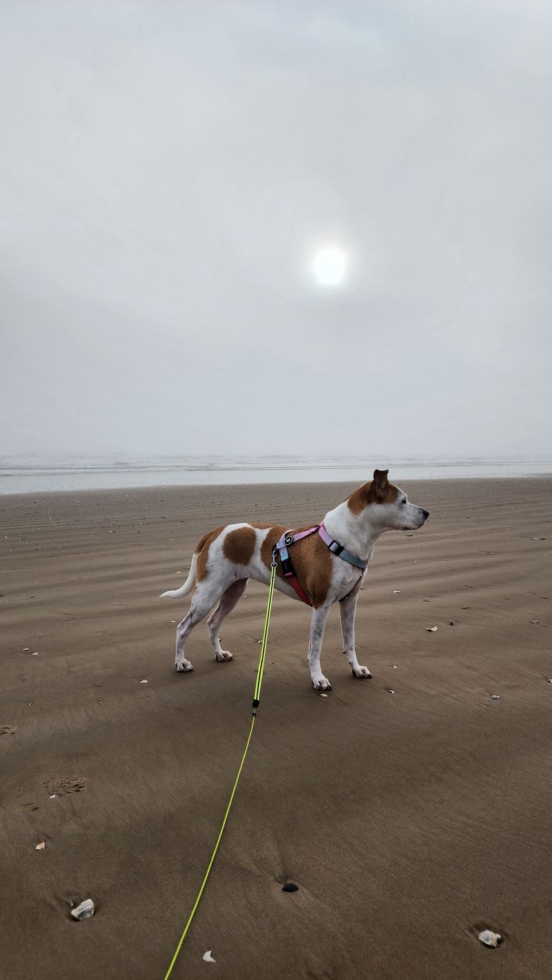 Watch The Weather Alongside The Tide