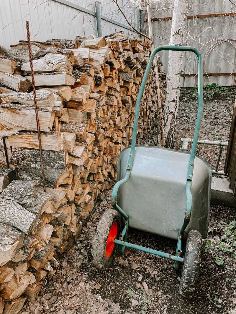 Check the Yard Around Wood Storage
