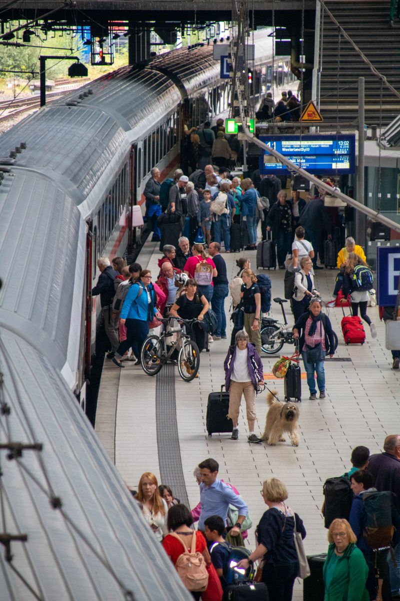 Prepare for Crowded Stations and Sudden Noise