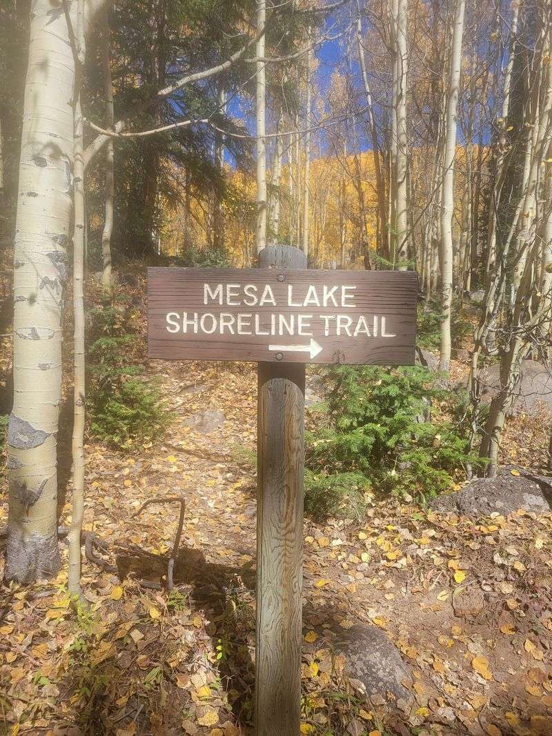 Mesa Lake Picnic Area and Its Shoreline Loop