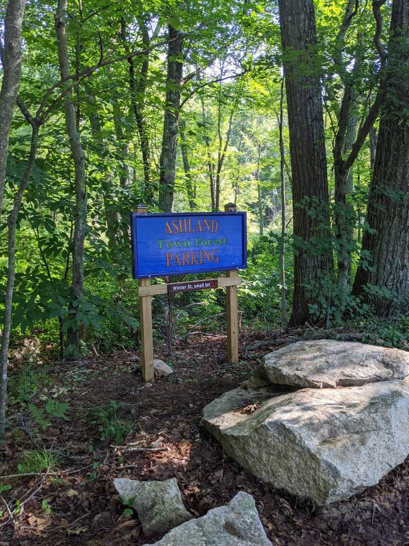 Ashland Town Forest, Ashland