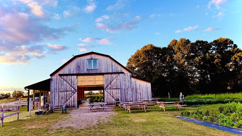 Schell Family Farm, Pinckney