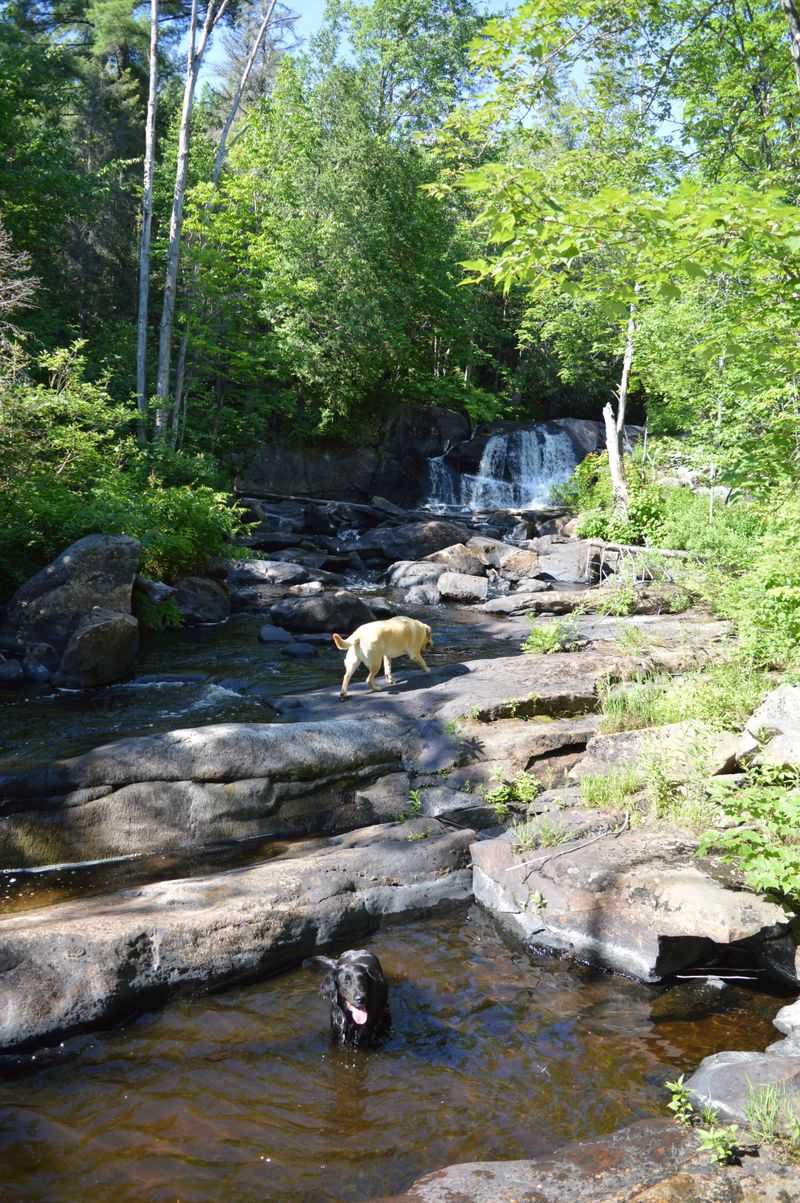 Upper Peninsula Outings Stretch Longer and Wilder