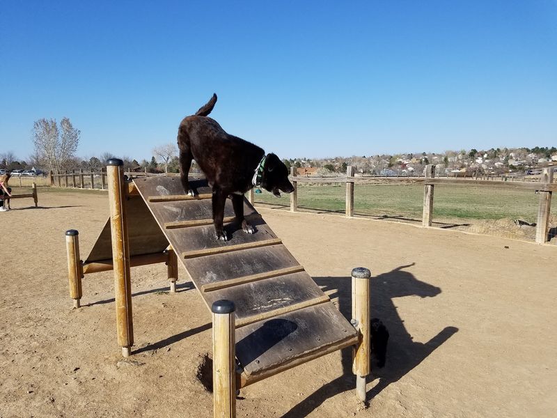 Grandview Dog Park, Aurora