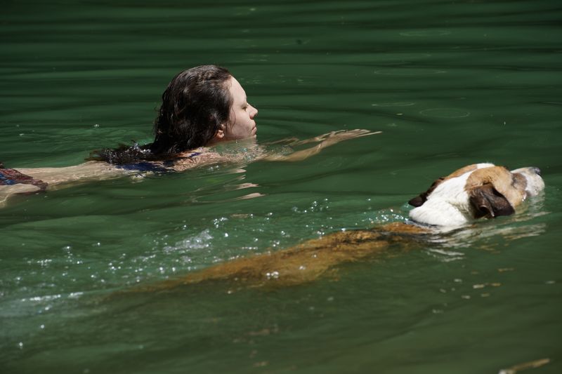 Swimming With Dogs in Missouri's Ozarks