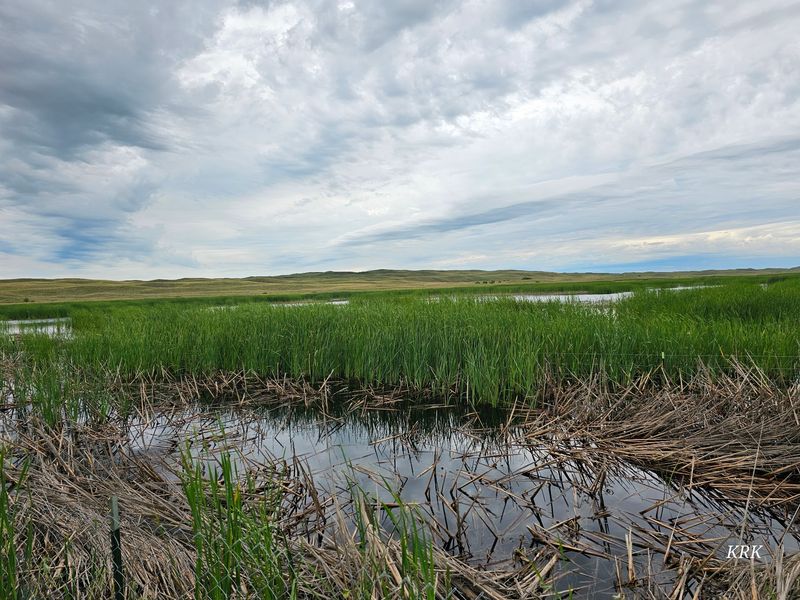 Thedford to Valentine, Pausing at Valentine National Wildlife Refuge