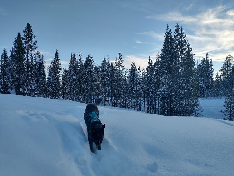 Stevensville to Hamilton to Darby to Lost Trail Pass