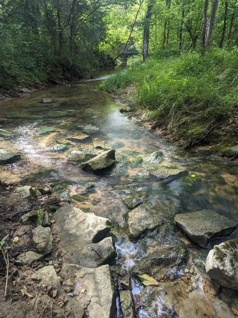 Bethel Creek Loop at Bethel Spring Nature Preserve, Gurley