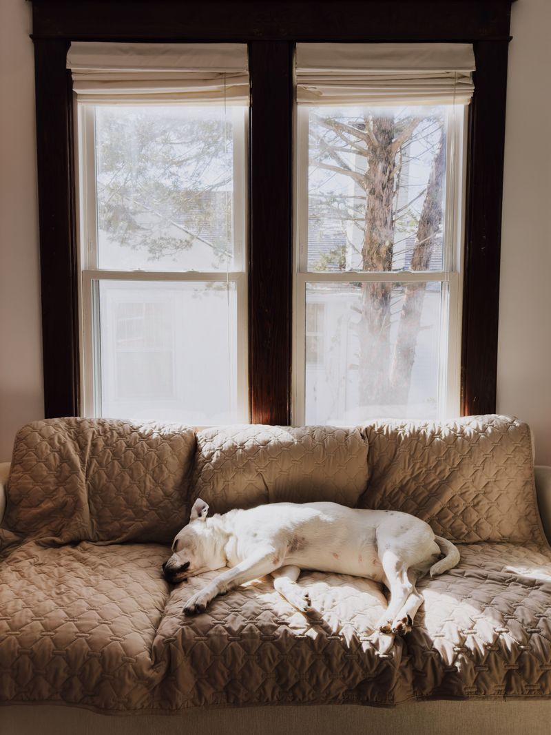 Taking A Break When The Cottage Gets Overwhelming