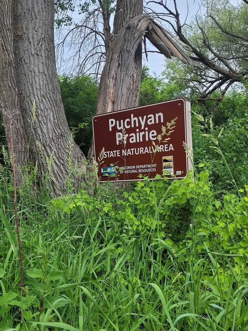 Puchyan Prairie