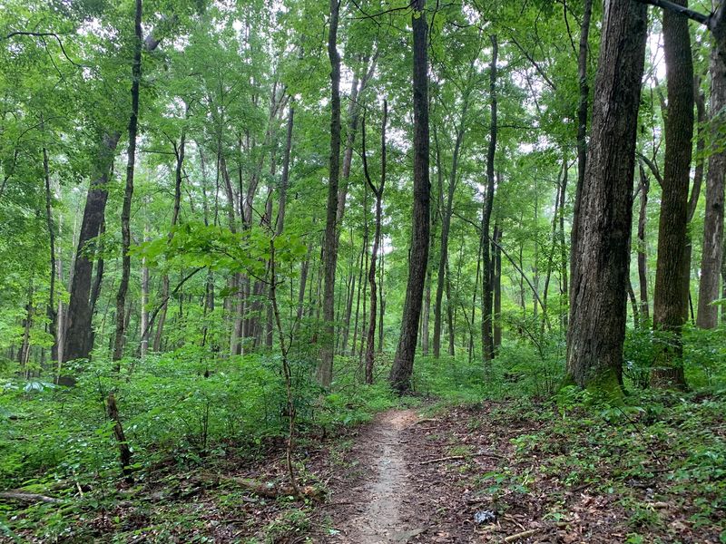 O'Bannon Woods State Park, Corydon