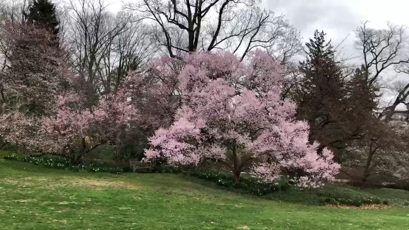 Scott Arboretum & Gardens, Swarthmore