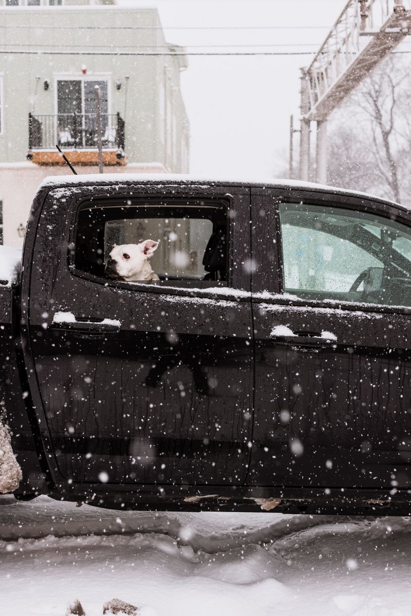 Cold Weather Counts Too