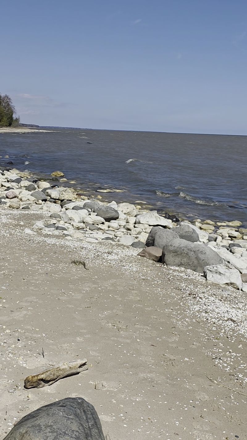 Legacy Preserve at Clay Banks