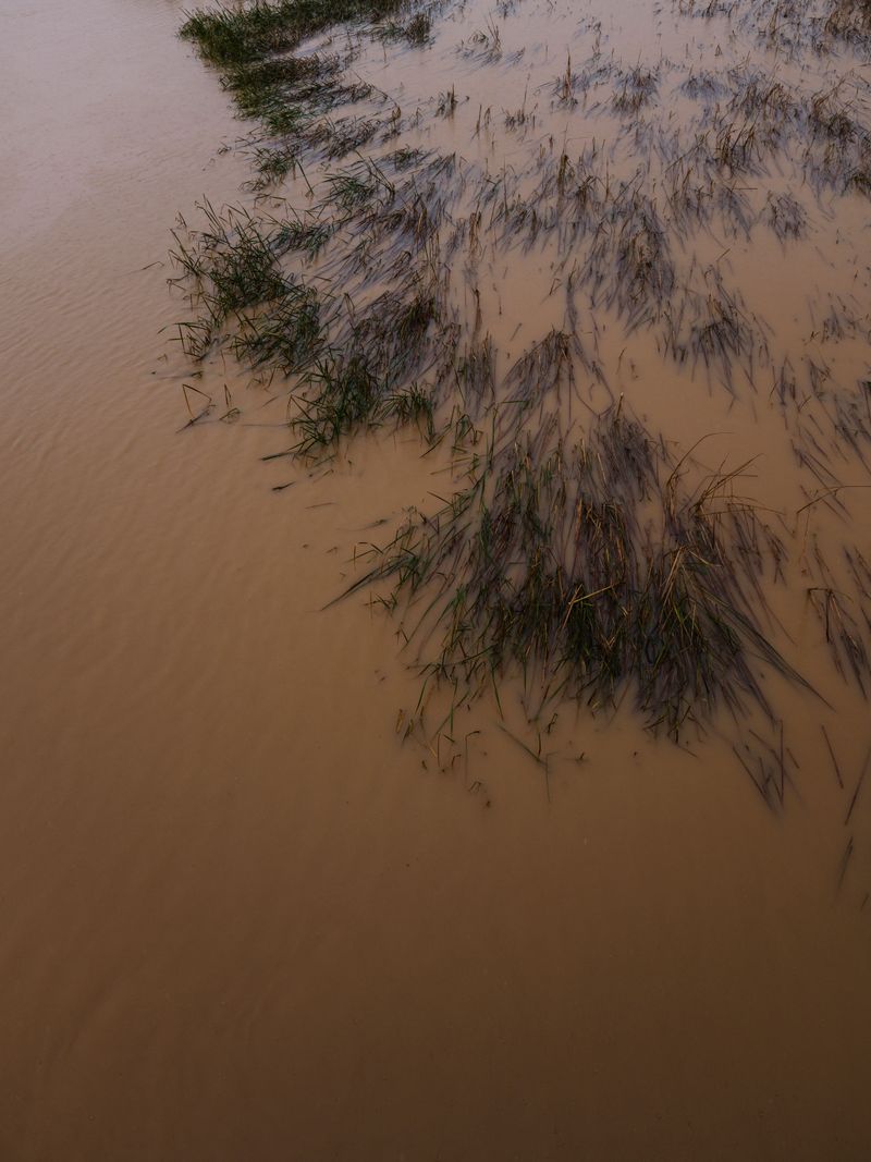 Overflow Can Turn A Yard Into A Temporary Waterway