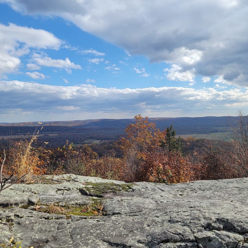 Jenny Jump State Forest: Short Stroll or Summit View