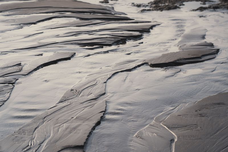 Mudflats Can Trap Curious Dogs