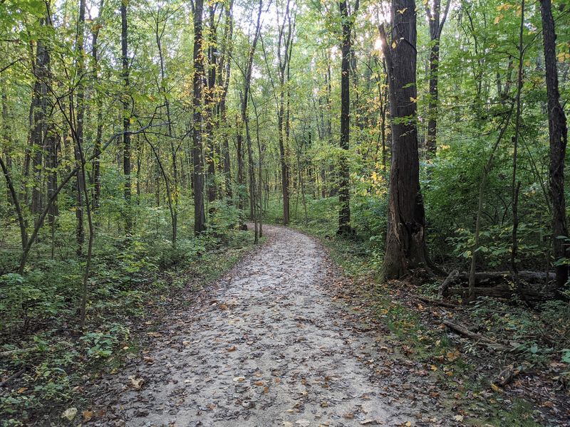 Sharon Woods Metro Park, Westerville