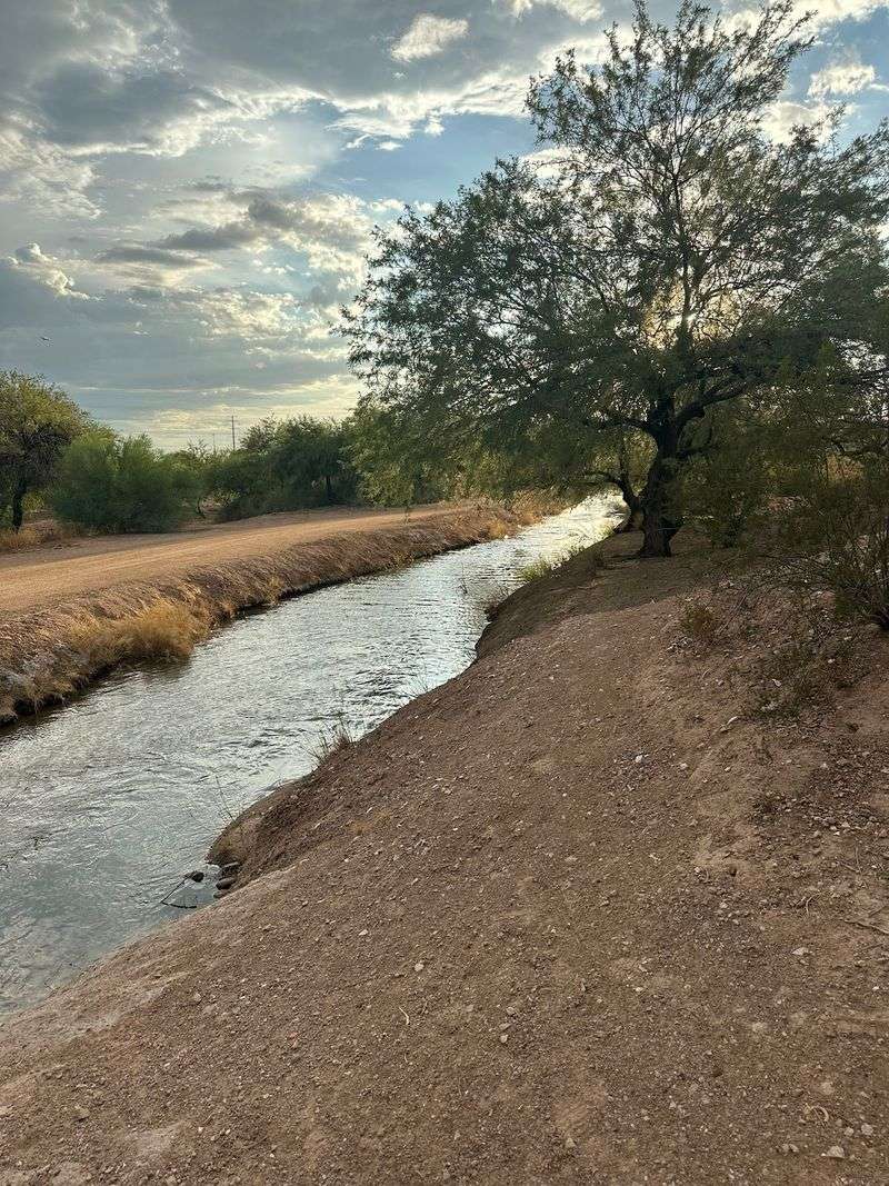 Tempe Canal Path: History Under Your Sneakers