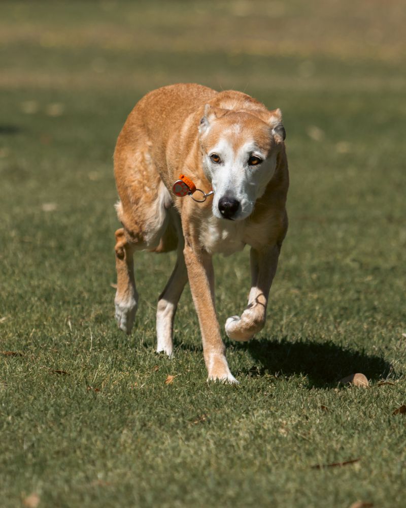Joint Stiffness Can Affect Summer Walks