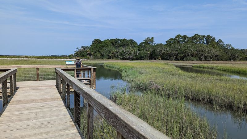 Fiddler Crab Boardwalk At Coastal Discovery Museum, Hilton Head Island