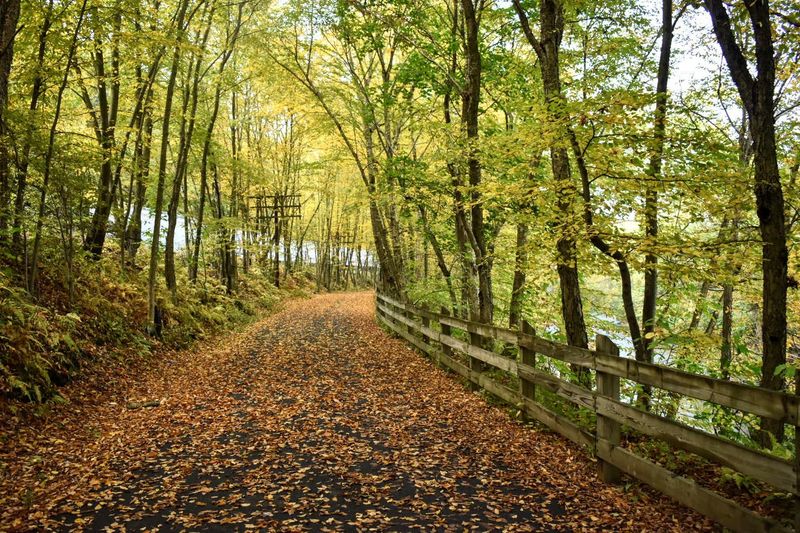 Lackawanna River Heritage Trail
