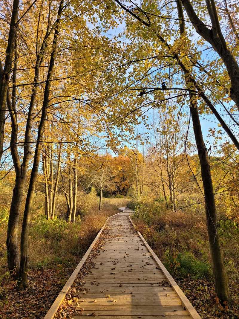 Lydick Bog Nature Preserve: A Walk Above the Bog