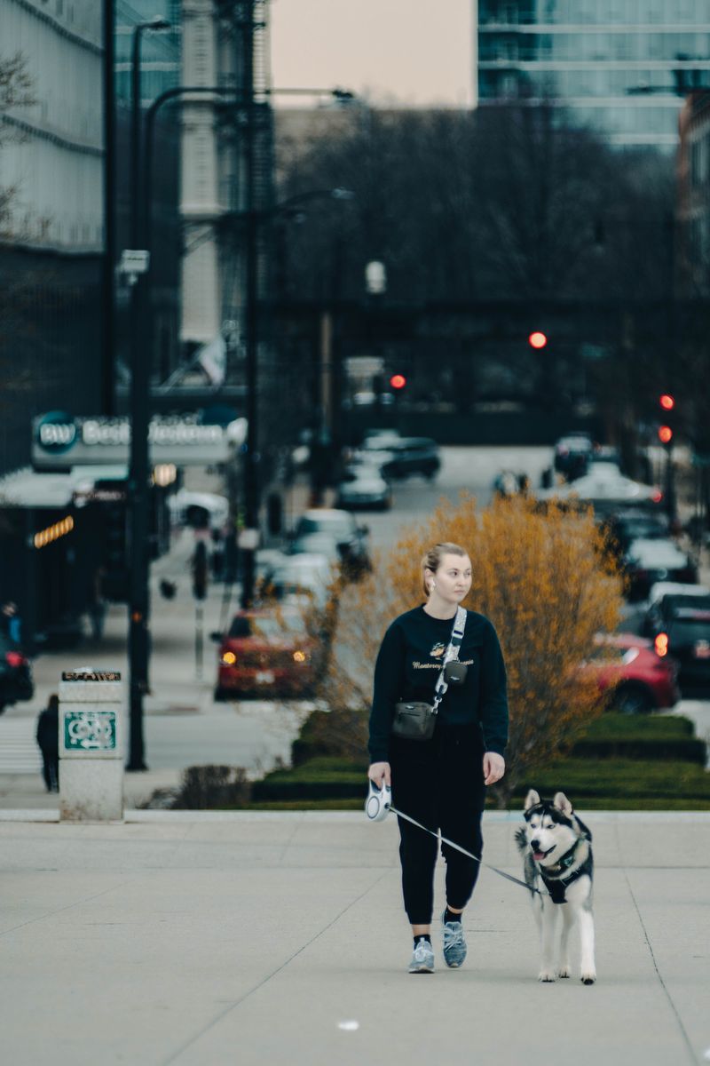 Leash Rules Deserve A Second Read