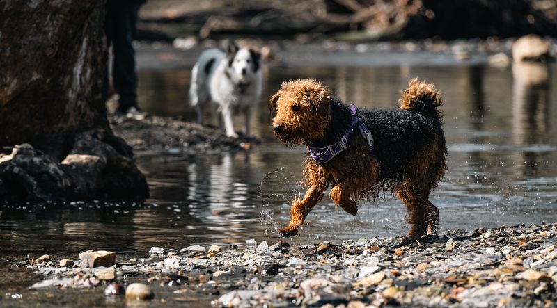 Why Creek Banks Require Extra Caution