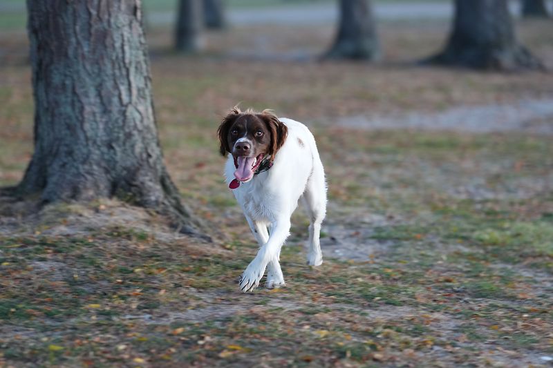 Signs of Heat Stress to Watch For
