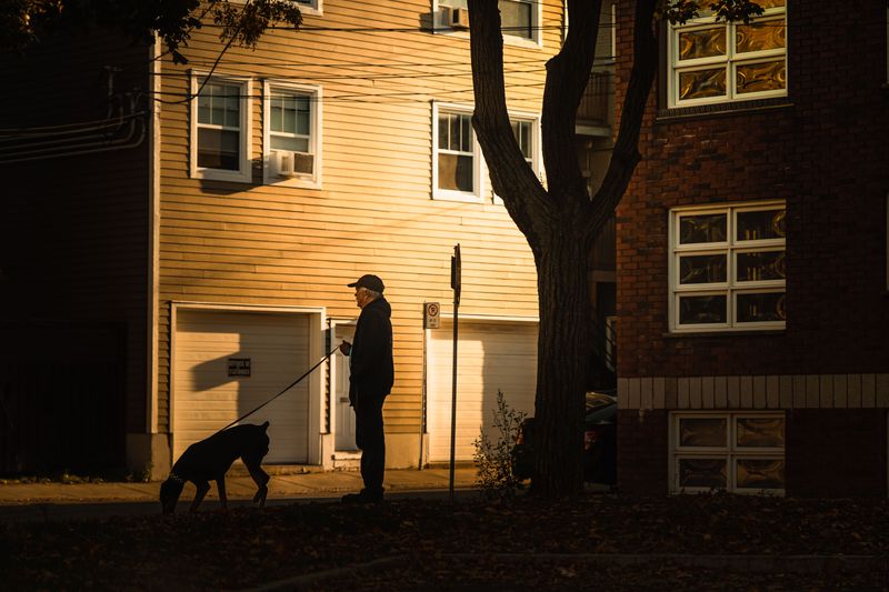 When to Shorten an Evening Walk
