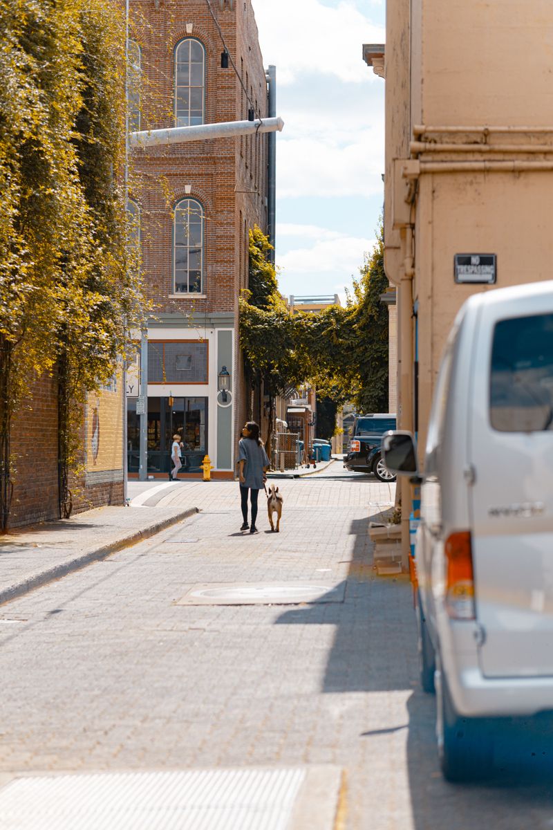 Choose Dog-Friendly Stops Before You Go