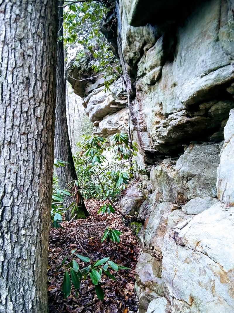 Guest River Gorge Trail, Wise County