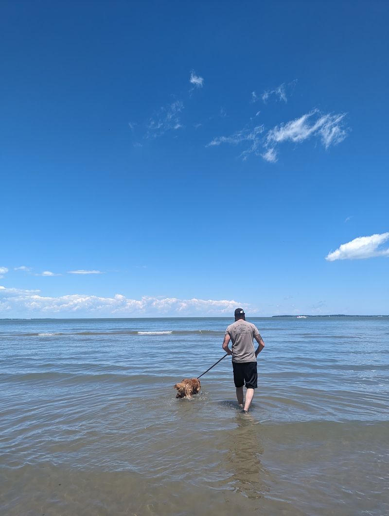 East Harbor State Park, Marblehead