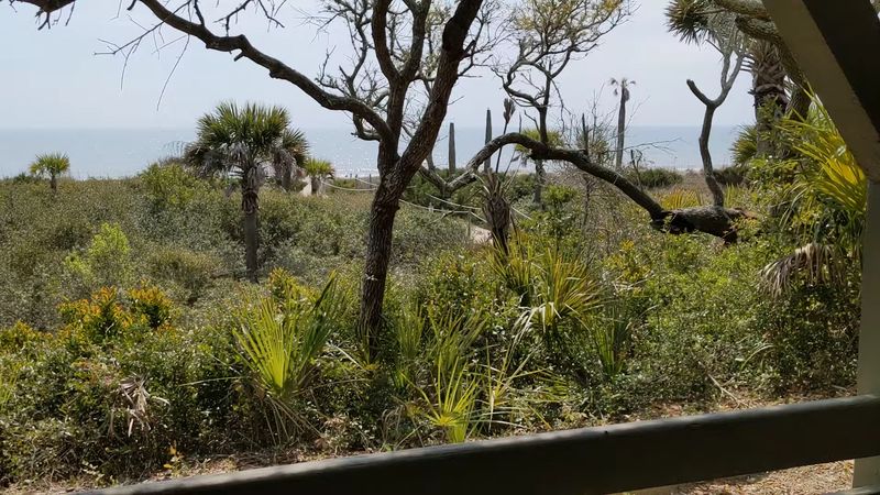Edisto Beach State Park, Edisto Island