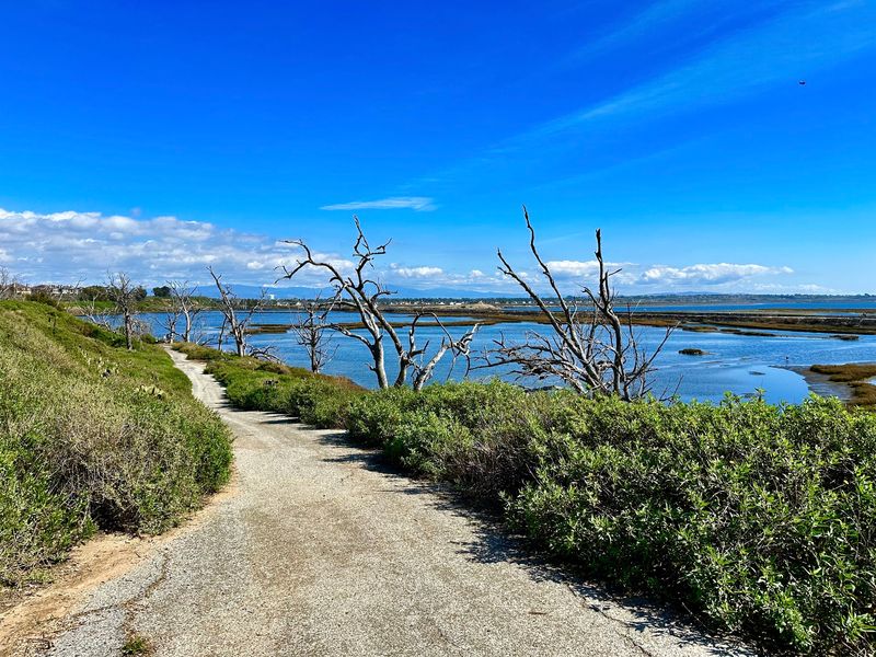 Bolsa Chica State Beach Multiuse Trail