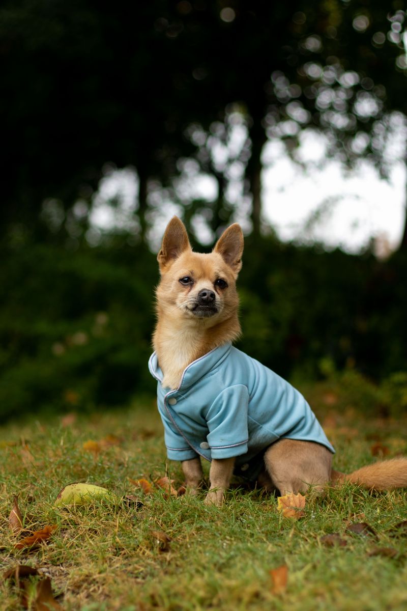 Sun Protection for Light Coats