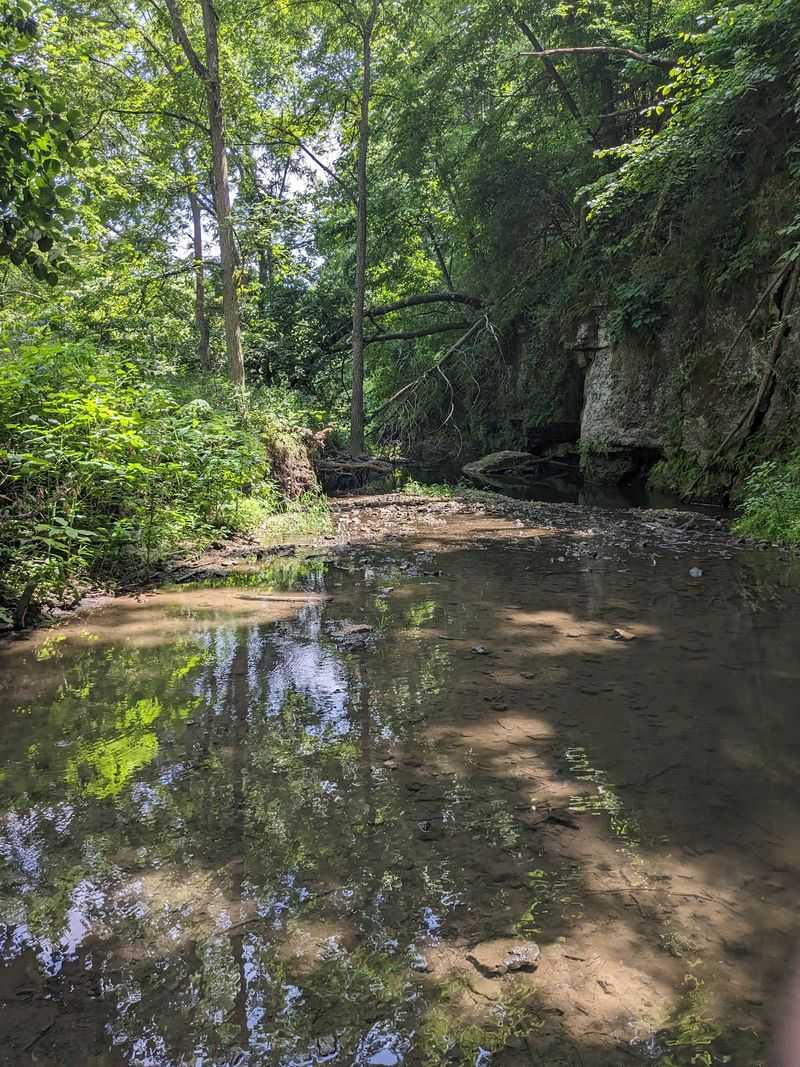 White Pines Forest State Park, Mount Morris